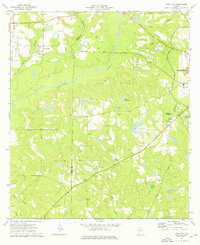Download a high-resolution, GPS-compatible USGS topo map for Pine Park, GA (1976 edition)