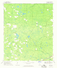 preview thumbnail of historical topo map of Ware County, GA in 1967