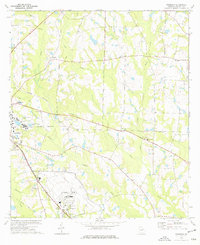 Download a high-resolution, GPS-compatible USGS topo map for Pineboro, GA (1977 edition)