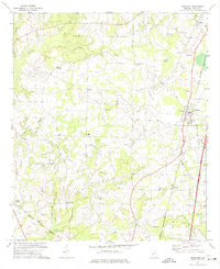 Download a high-resolution, GPS-compatible USGS topo map for Pinehurst, GA (1975 edition)