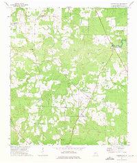 Download a high-resolution, GPS-compatible USGS topo map for Pineview East, GA (1975 edition)