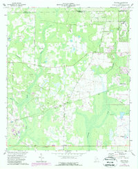 preview thumbnail of historical topo map of Dougherty County, GA in 1973