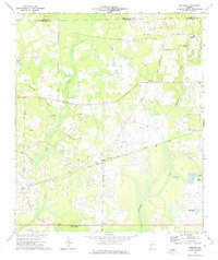 preview thumbnail of historical topo map of Dougherty County, GA in 1973