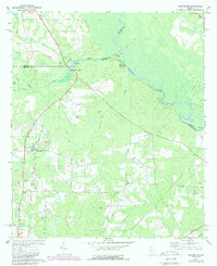 preview thumbnail of historical topo map of Ben Hill County, GA in 1972