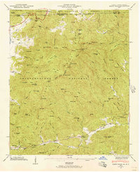 Download a high-resolution, GPS-compatible USGS topo map for Rabun Bald, GA (1956 edition)