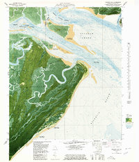 Download a high-resolution, GPS-compatible USGS topo map for Raccoon Key, GA (1980 edition)
