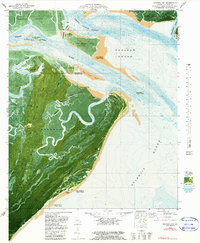 Download a high-resolution, GPS-compatible USGS topo map for Raccoon Key, GA (1985 edition)