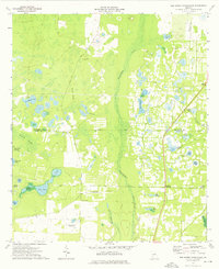 Download a high-resolution, GPS-compatible USGS topo map for Red Store Crossroads, GA (1976 edition)