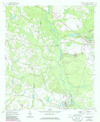 preview thumbnail of historical topo map of Tattnall County, GA in 1970