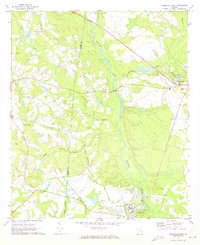 Download a high-resolution, GPS-compatible USGS topo map for Reidsville West, GA (1973 edition)