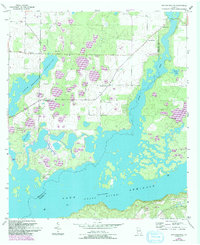 Download a high-resolution, GPS-compatible USGS topo map for Reynoldsville, GA (1994 edition)