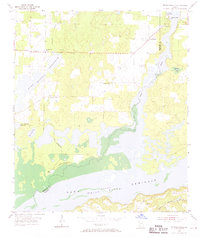 Download a high-resolution, GPS-compatible USGS topo map for Reynoldsville, GA (1969 edition)