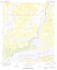 Download a high-resolution, GPS-compatible USGS topo map for Reynoldsville, GA (1977 edition)