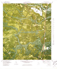 Download a high-resolution, GPS-compatible USGS topo map for Riceboro, GA (1980 edition)