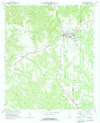 Download a high-resolution, GPS-compatible USGS topo map for Richland, GA (1991 edition)