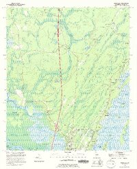 preview thumbnail of historical topo map of McIntosh County, GA in 1993