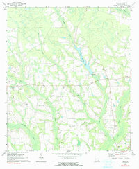 preview thumbnail of historical topo map of Wayne County, GA in 1971