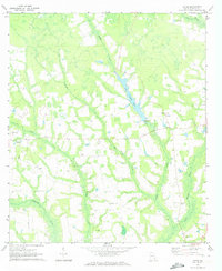 Download a high-resolution, GPS-compatible USGS topo map for Ritch, GA (1973 edition)