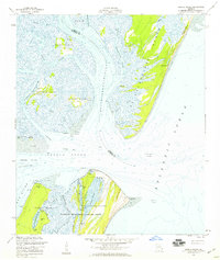 preview thumbnail of historical topo map of McIntosh County, GA in 1954
