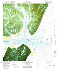 Download a high-resolution, GPS-compatible USGS topo map for Sapelo Sound, GA (1980 edition)