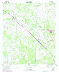 preview thumbnail of historical topo map of Sasser, GA in 1973