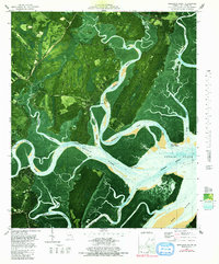 Download a high-resolution, GPS-compatible USGS topo map for Shellman Bluff, GA (1991 edition)