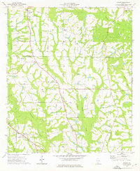 Download a high-resolution, GPS-compatible USGS topo map for Sigsbee, GA (1976 edition)