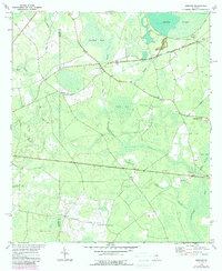 preview thumbnail of historical topo map of Clinch County, GA in 1972