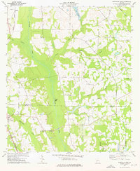 Download a high-resolution, GPS-compatible USGS topo map for Smithville East, GA (1976 edition)