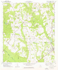 Download a high-resolution, GPS-compatible USGS topo map for Smithville West, GA (1976 edition)