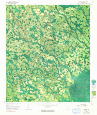 preview thumbnail of historical topo map of Clinch County, GA in 1967