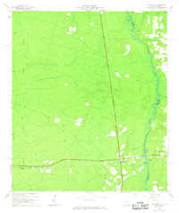 Download a high-resolution, GPS-compatible USGS topo map for St George, GA (1967 edition)