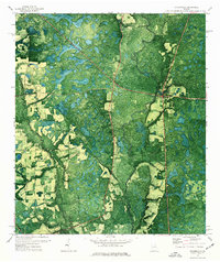 preview thumbnail of historical topo map of Echols County, GA in 1971