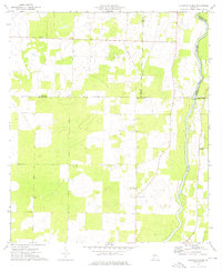 Download a high-resolution, GPS-compatible USGS topo map for Steinham Store, GA (1976 edition)