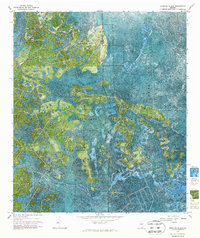 preview thumbnail of historical topo map of Clinch County, GA in 1967