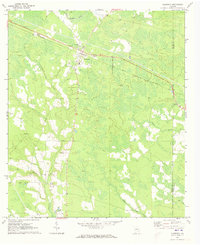 Download a high-resolution, GPS-compatible USGS topo map for Surrency, GA (1973 edition)