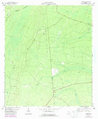 preview thumbnail of historical topo map of Camden County, GA in 1975