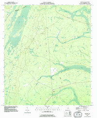 preview thumbnail of historical topo map of Camden County, GA in 1993