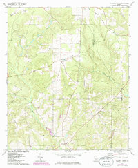 Download a high-resolution, GPS-compatible USGS topo map for Tazewell North, GA (1985 edition)