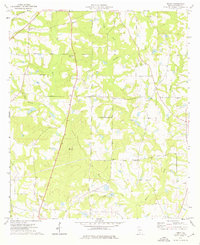 Download a high-resolution, GPS-compatible USGS topo map for Tempy, GA (1976 edition)