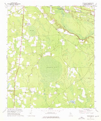preview thumbnail of historical topo map of Berrien County, GA in 1972