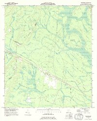 preview thumbnail of historical topo map of Glynn County, GA in 1993
