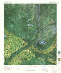 Download a high-resolution, GPS-compatible USGS topo map for The Pocket, GA (1967 edition)