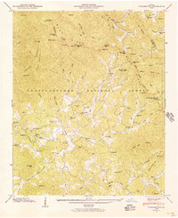 Download a high-resolution, GPS-compatible USGS topo map for Tickanetley, GA (1956 edition)