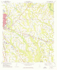 preview thumbnail of historical topo map of Tift County, GA in 1973