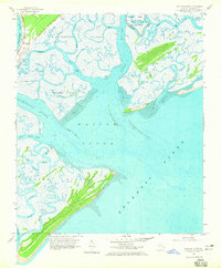 Download a high-resolution, GPS-compatible USGS topo map for Wassaw Sound, GA (1965 edition)