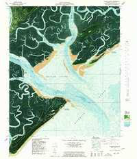 preview thumbnail of historical topo map of Chatham County, GA in 1978