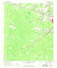 preview thumbnail of historical topo map of Ware County, GA in 1967