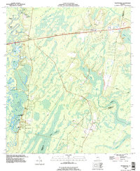 Download a high-resolution, GPS-compatible USGS topo map for Waynesville, GA (1995 edition)