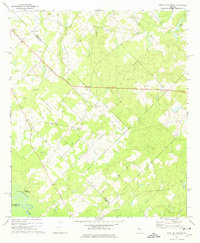 Download a high-resolution, GPS-compatible USGS topo map for West Of Eastman, GA (1975 edition)